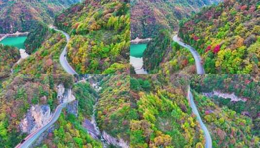 神农架秋天红叶高清在线视频素材下载