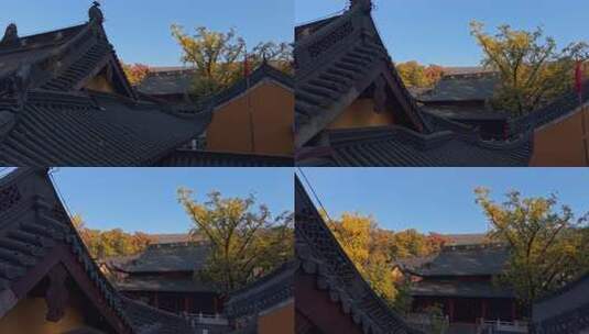 南京灵谷景区灵谷寺航拍高清在线视频素材下载