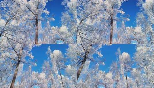 积雪覆盖的树林景观高清在线视频素材下载