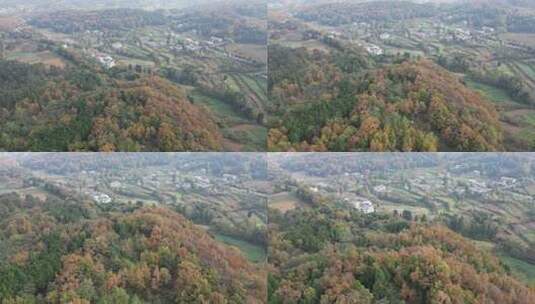 四川德阳罗江区附近山林秋色高清在线视频素材下载