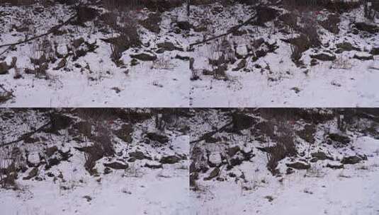 冬天 冬季 寒冷 凄凉 冷漠高清在线视频素材下载
