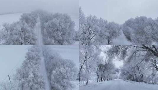 冬季雾凇森林雪景高清在线视频素材下载