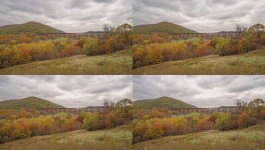 秋天的树木延时摄影高清在线视频素材下载