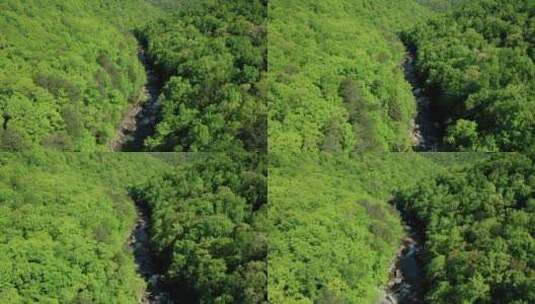 航拍绿树环绕岩石河高清在线视频素材下载
