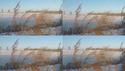 吉林省吉林市松花江边雾凇岛，雾凇景观高清在线视频素材下载
