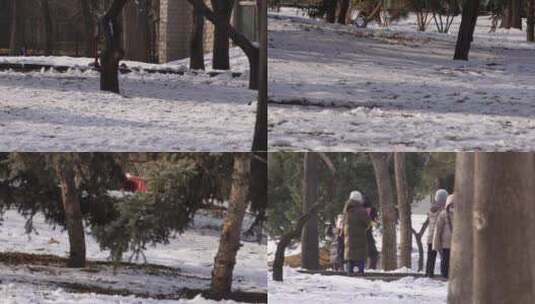 【镜头合集】冬季下雪树林孩子打雪仗玩雪高清在线视频素材下载