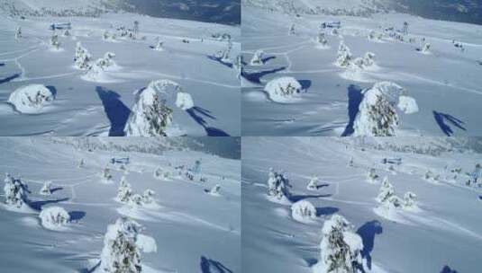滑雪区附近满是积雪的冰冻松树高清在线视频素材下载