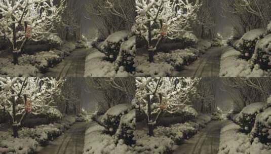 小区下雪夜景唯美飘雪高清在线视频素材下载