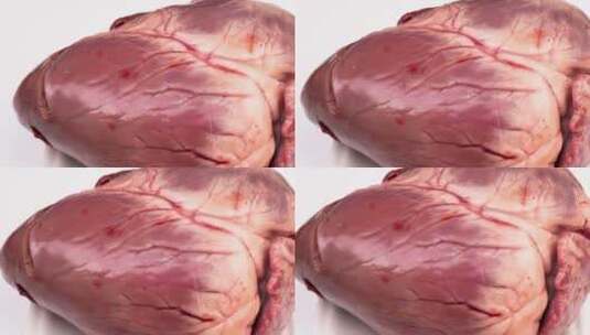 新鲜猪心4k视频生鲜肉品高清在线视频素材下载