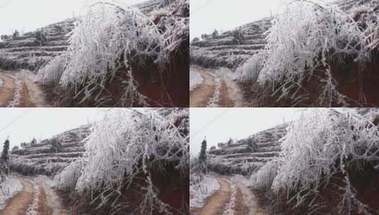 湖南衡山勾头峰冰雪景观高清在线视频素材下载