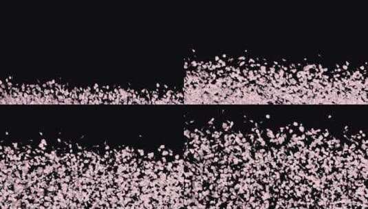 大量樱花漂浮下落（带通道）高清在线视频素材下载