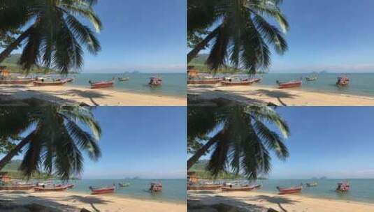 沙滩上的棕榈影高清在线视频素材下载