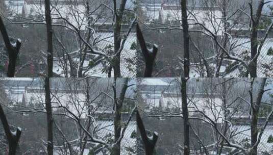 杭州上天竺法喜讲寺下雪天风景高清在线视频素材下载