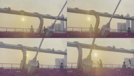 黄昏日落广州海芯桥高清在线视频素材下载