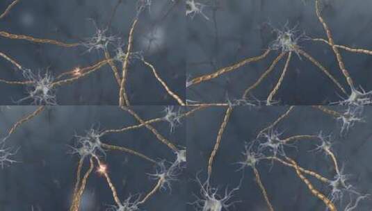 神经元神经神经传导树突神经信号源动画高清在线视频素材下载