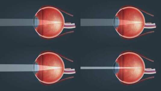 人眼 眼睛 眼球 感觉器官 视觉系统三维动画高清在线视频素材下载