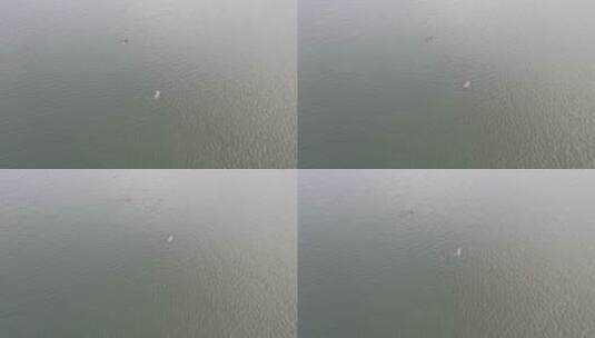 冬天江河里游泳的人高清在线视频素材下载