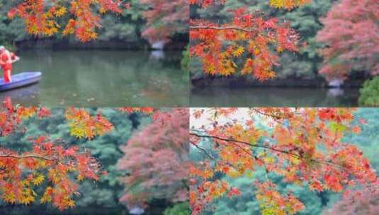 杭州九溪烟树秋季红叶流水高清在线视频素材下载