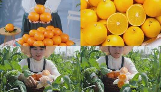 新鲜柑橘高清在线视频素材下载
