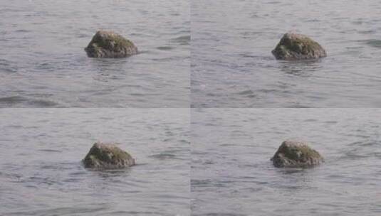 湖面的石头 【4k-60P】高清在线视频素材下载