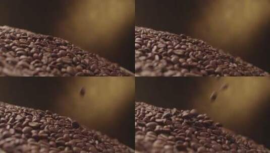 棕榈树上的咖啡豆高清在线视频素材下载