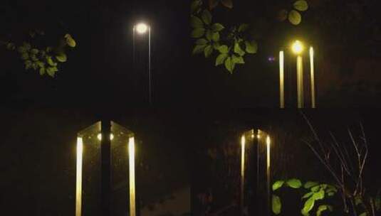 雨天夜景雨滴树叶路灯高清在线视频素材下载