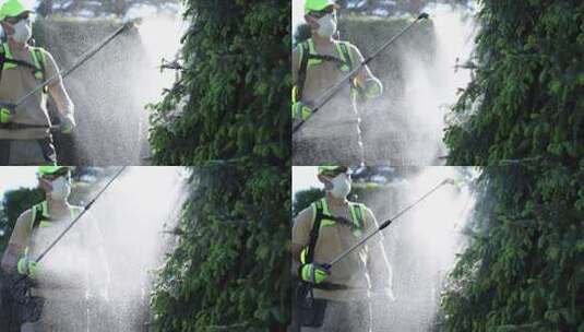 一名工人给园林树木喷雾高清在线视频素材下载