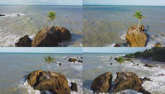 坦巴巴海滩无人机在岩石周围飞行，独奏棕榈树在海洋的风中清凉。
若昂·佩索阿，高清在线视频素材下载