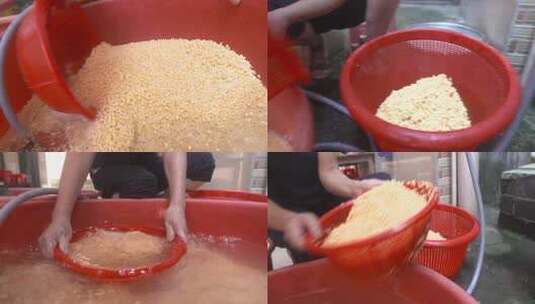 4kl1蕉园村 裹蒸粽 食材准备清洗2高清在线视频素材下载