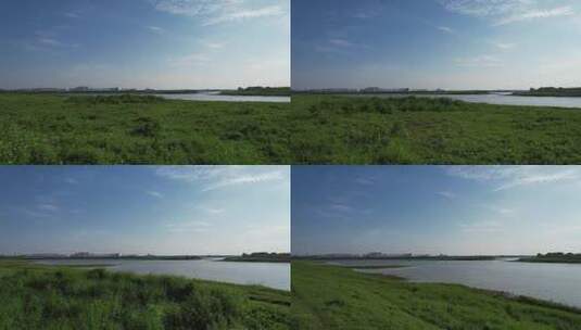 湿地公园草海高清在线视频素材下载