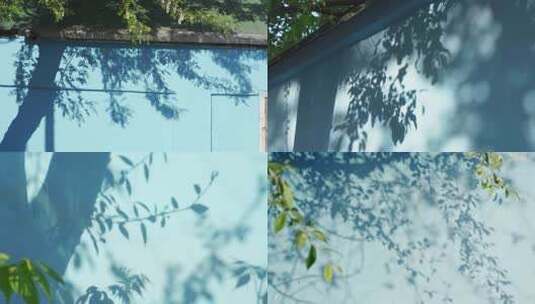 夏天蓝色墙面上的树叶光影合集高清在线视频素材下载