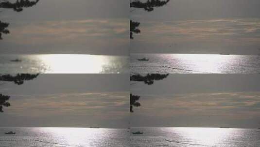 海边 波光粼粼 海鸟飞翔 天空 云高清在线视频素材下载