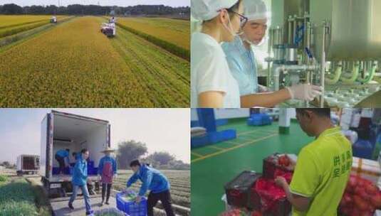 农产品种植加工高清在线视频素材下载