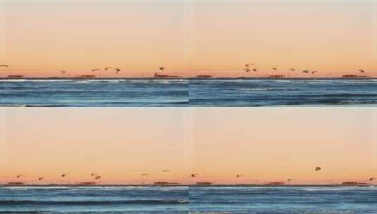 海上风筝冲浪高清在线视频素材下载