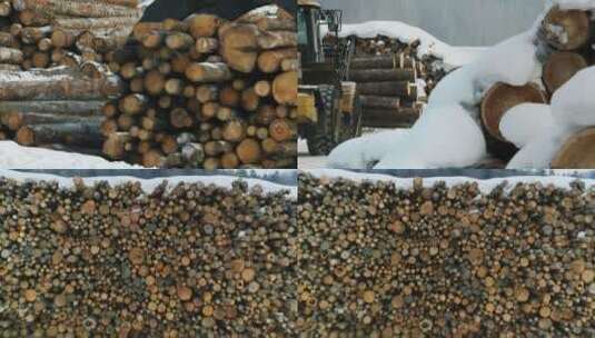 冬季伐木场高清在线视频素材下载