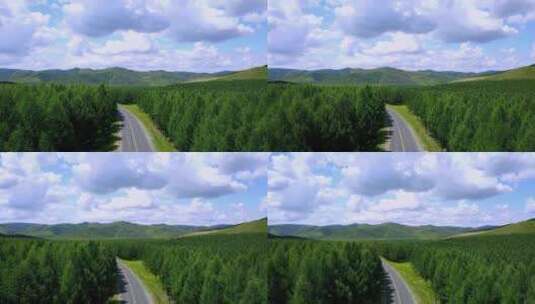 内蒙古广阔茂密的丛林公路高清在线视频素材下载
