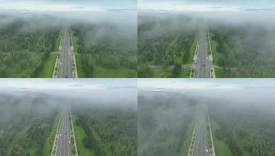 晨雾中林间道路上行驶的汽车高清在线视频素材下载