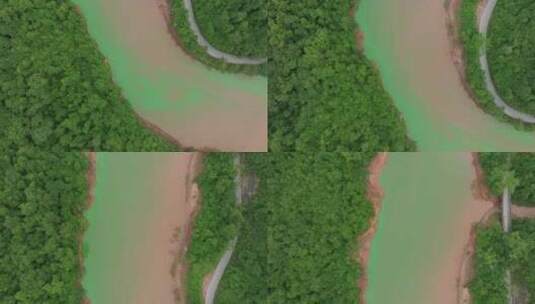 热带雨林航拍4高清在线视频素材下载
