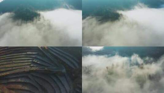 杭州富阳森林高山云海云雾合集含log文件高清在线视频素材下载