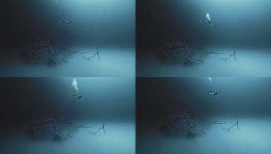 潜入深海高清在线视频素材下载