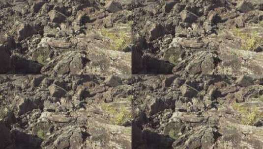 自然火山岩石石海高清在线视频素材下载