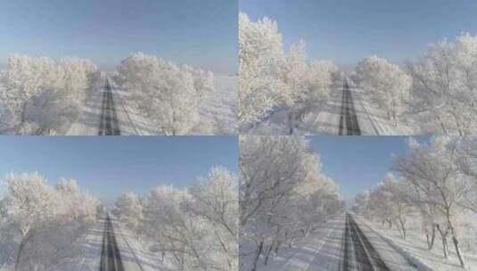冬季公路旁被雪覆盖的树木高清在线视频素材下载