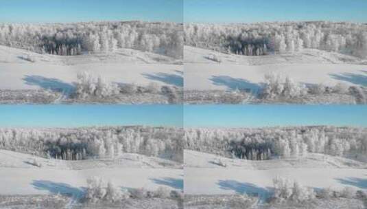 新疆的冬天大地被白雪覆盖高清在线视频素材下载