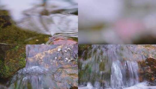 杭州植物园小溪小河流水风景视频素材高清在线视频素材下载