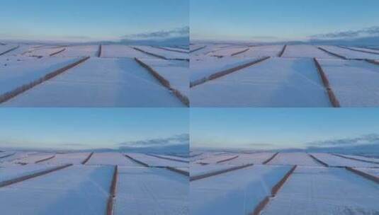 北方冬天农田雪景高清在线视频素材下载