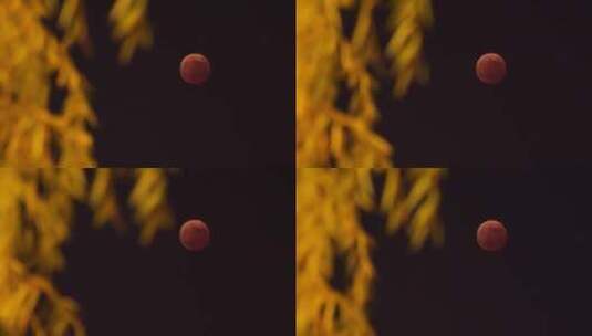 红月血月 月全食 城市夜晚的月亮云高清在线视频素材下载