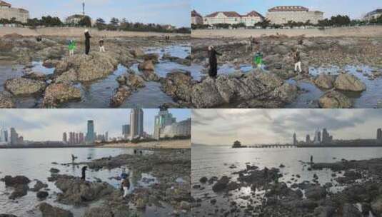 海岸线海边海鸥高清在线视频素材下载