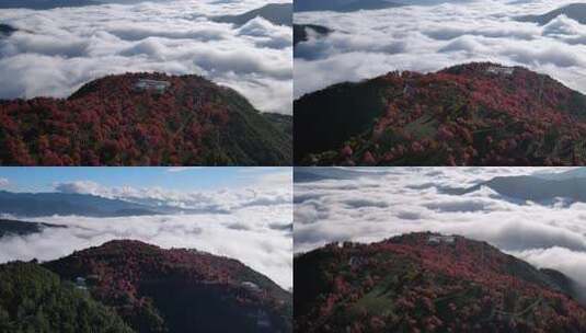 大理无量山樱花谷茶山云海航拍多角度合集高清在线视频素材下载