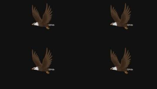 飞翔的老鹰【二维手绘循环动画 带通道】高清在线视频素材下载