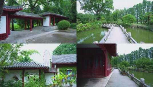 武汉东湖磨山景区盆景园4K视频合集高清在线视频素材下载